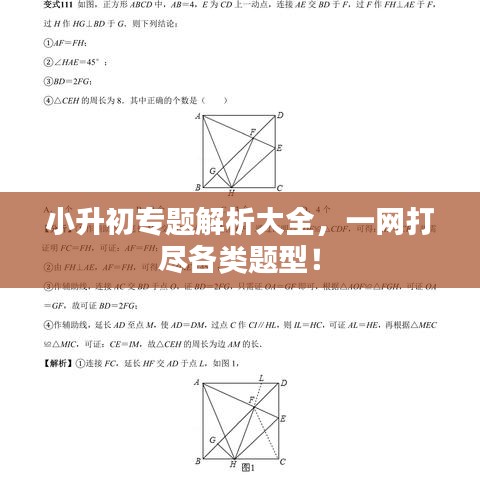 小升初專題解析大全，一網(wǎng)打盡各類題型！