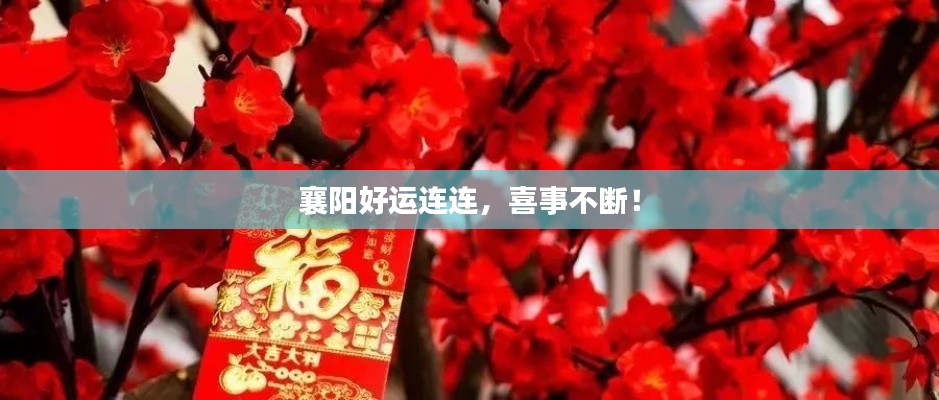 襄陽好運連連，喜事不斷！