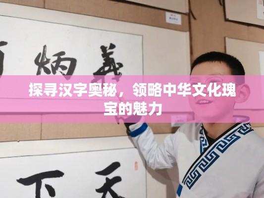 探尋漢字奧秘，領(lǐng)略中華文化瑰寶的魅力