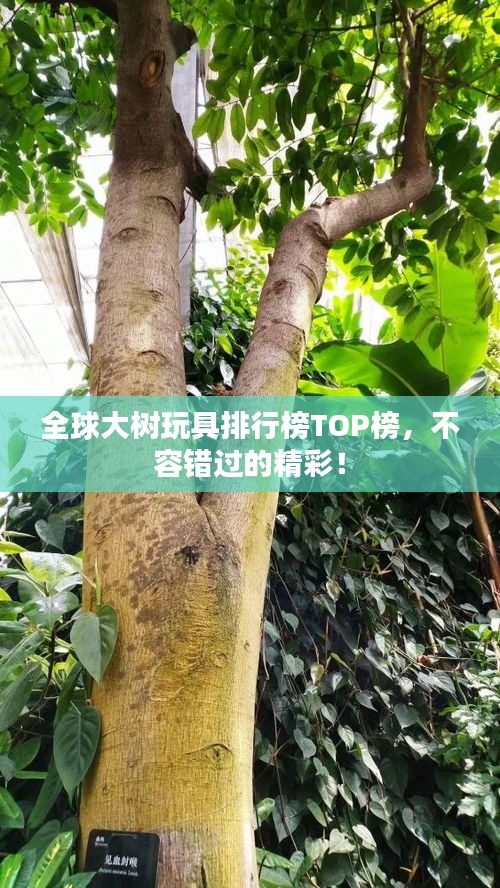 全球大樹玩具排行榜TOP榜，不容錯過的精彩！