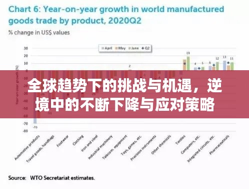 全球趨勢(shì)下的挑戰(zhàn)與機(jī)遇，逆境中的不斷下降與應(yīng)對(duì)策略