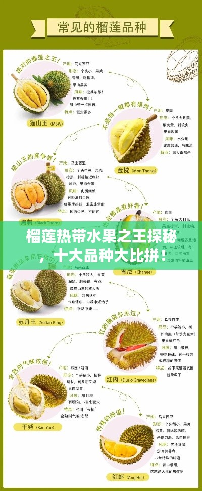 榴蓮熱帶水果之王探秘，十大品種大比拼！