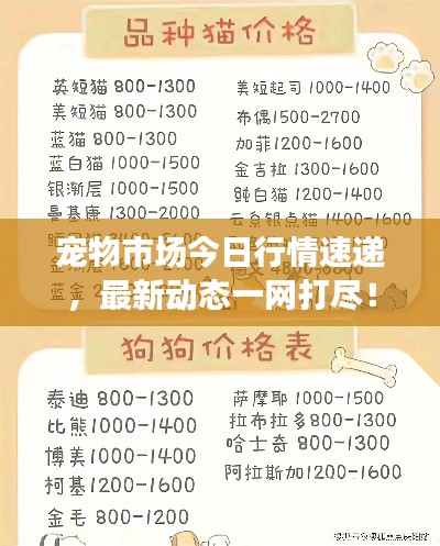 寵物市場(chǎng)今日行情速遞，最新動(dòng)態(tài)一網(wǎng)打盡！