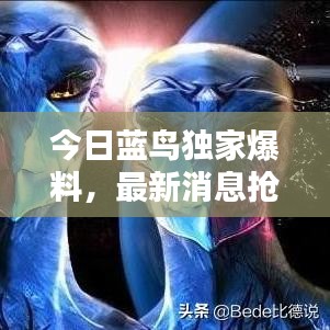 今日藍鳥獨家爆料，最新消息搶先看！