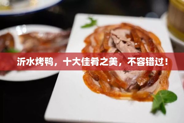 沂水烤鴨，十大佳肴之美，不容錯過！