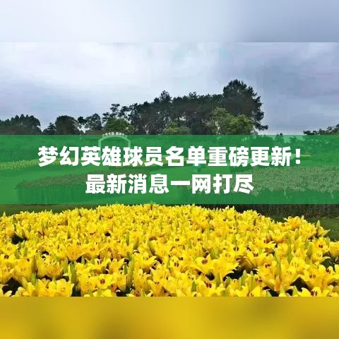夢幻英雄球員名單重磅更新！最新消息一網(wǎng)打盡