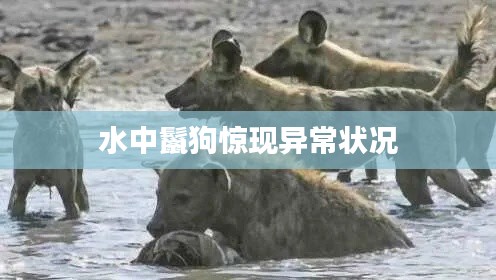 江南煙雨斷橋殤