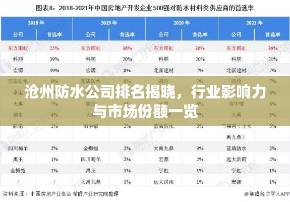 滄州防水公司排名揭曉，行業(yè)影響力與市場份額一覽