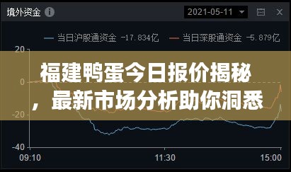 福建鴨蛋今日報價揭秘，最新市場分析助你洞悉行情！