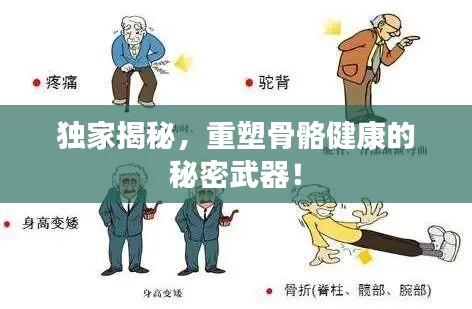 獨家揭秘，重塑骨骼健康的秘密武器！