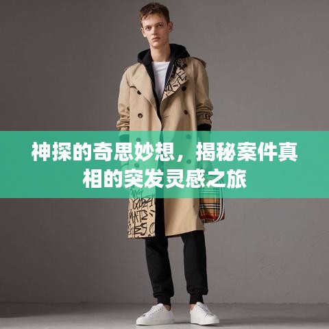 神探的奇思妙想，揭秘案件真相的突發(fā)靈感之旅