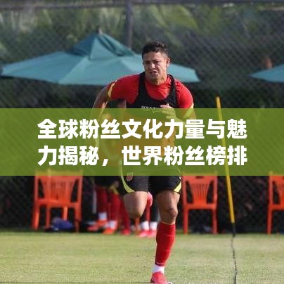 全球粉絲文化力量與魅力揭秘，世界粉絲榜排名探索