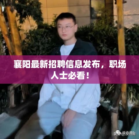 襄陽(yáng)最新招聘信息發(fā)布，職場(chǎng)人士必看！