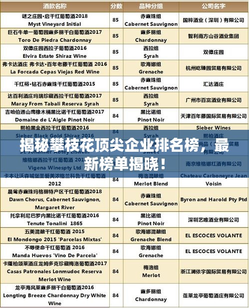 揭秘攀枝花頂尖企業(yè)排名榜，最新榜單揭曉！