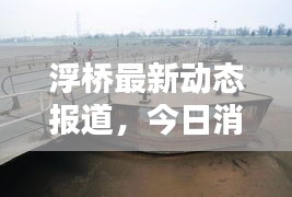 浮橋最新動態(tài)報道，今日消息更新速遞