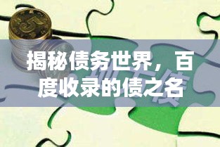 揭秘債務(wù)世界，百度收錄的債之名詞解釋