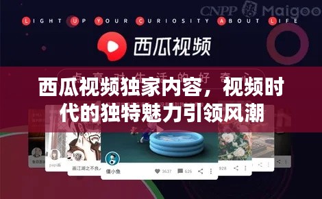西瓜視頻獨(dú)家內(nèi)容，視頻時(shí)代的獨(dú)特魅力引領(lǐng)風(fēng)潮