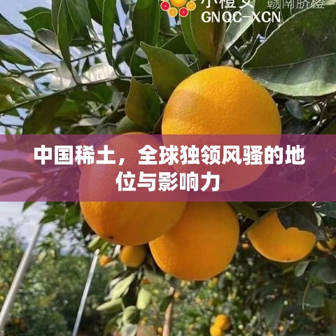 中國稀土，全球獨領(lǐng)風(fēng)騷的地位與影響力