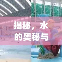 揭秘，水的奧秘與未知探索之旅