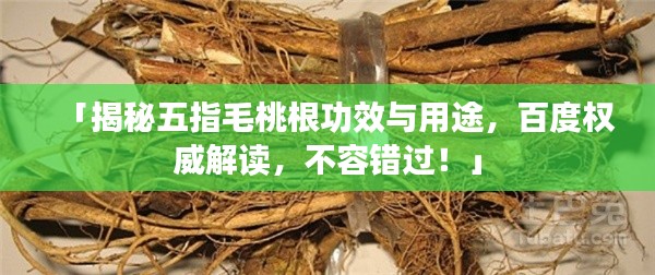 南轅北轍