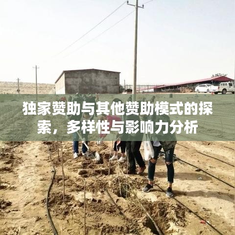 獨家贊助與其他贊助模式的探索，多樣性與影響力分析