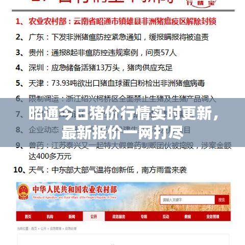 昭通今日豬價行情實時更新，最新報價一網(wǎng)打盡