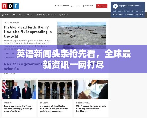 英語新聞頭條搶先看，全球最新資訊一網(wǎng)打盡
