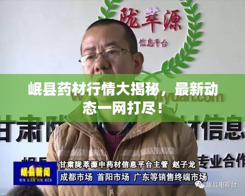 岷縣藥材行情大揭秘，最新動(dòng)態(tài)一網(wǎng)打盡！