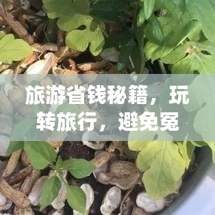 旅游省錢秘籍，玩轉(zhuǎn)旅行，避免冤枉錢支出攻略！