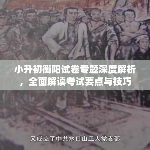 小升初衡陽試卷專題深度解析，全面解讀考試要點(diǎn)與技巧