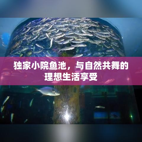 獨家小院魚池，與自然共舞的理想生活享受