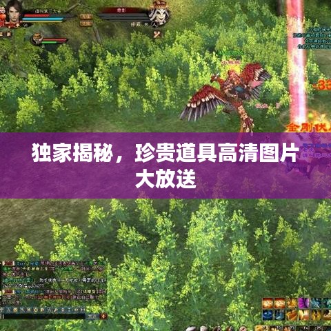 獨(dú)家揭秘，珍貴道具高清圖片大放送