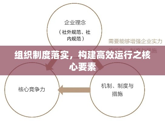 組織制度落實(shí)，構(gòu)建高效運(yùn)行之核心要素