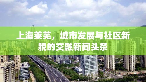 上海萊蕪，城市發(fā)展與社區(qū)新貌的交融新聞?lì)^條