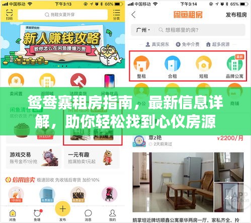 鴛鴦?wù)夥恐改?，最新信息詳解，助你輕松找到心儀房源