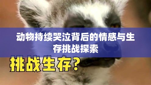 設身處地