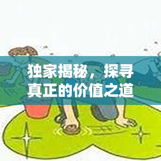 獨(dú)家揭秘，探尋真正的價(jià)值之道