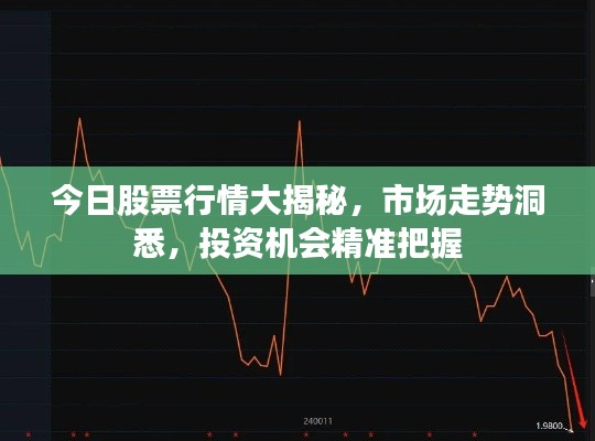 今日股票行情大揭秘，市場走勢洞悉，投資機會精準把握
