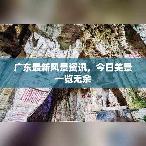 將計(jì)就計(jì)