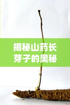 學(xué)貴有疑