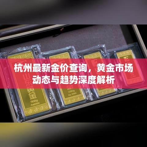 杭州最新金價(jià)查詢，黃金市場(chǎng)動(dòng)態(tài)與趨勢(shì)深度解析