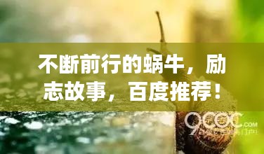 豪門貴胄