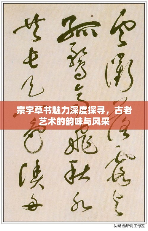 騰龍換鳥(niǎo)