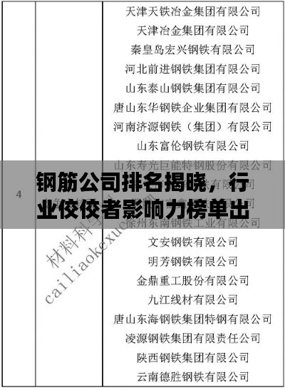 鋼筋公司排名揭曉，行業(yè)佼佼者影響力榜單出爐！