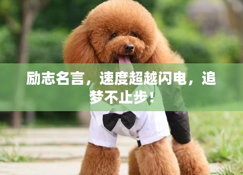 勵(lì)志名言，速度超越閃電，追夢不止步！