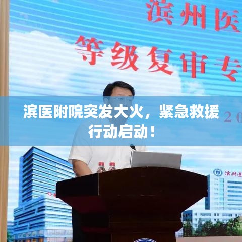 龍飛鳳舞