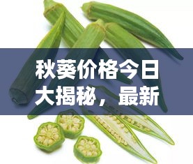 行疾如飛