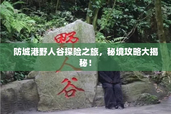 落土飛巖