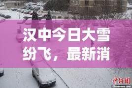 一花獨(dú)放