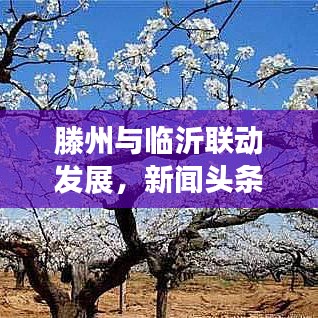 仙姿佚貌